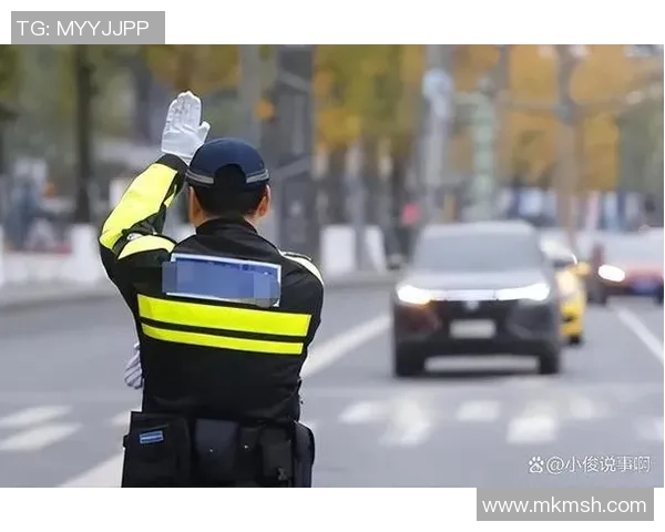 法媒：驾车抵触利物浦球迷的司机将被判刑，将面对长时间拘禁